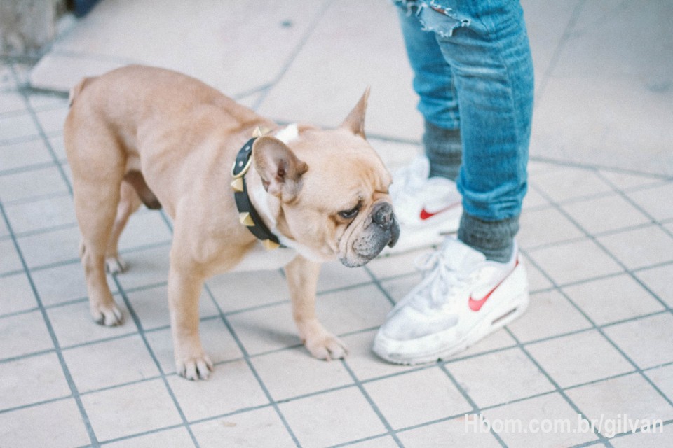 Estamos muito felizes em tê-lo conosco. Nossa plataforma foi criada para oferecer a você uma experiência enriquecedora com uma variedade de conteúdos de alta qualidade, personalizados para atender aos seus
interesses e necessidades.